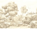 Masureel