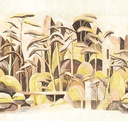 Masureel
