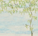 Masureel
