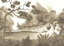 Masureel