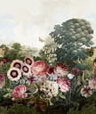 Masureel
