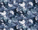 Masureel