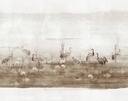 Masureel