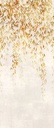 Masureel
