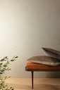 Ambiente (original)