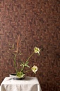 Ambiente (original)