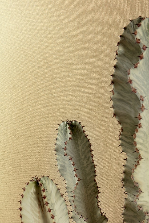 [GAT604] Havana - GAT604