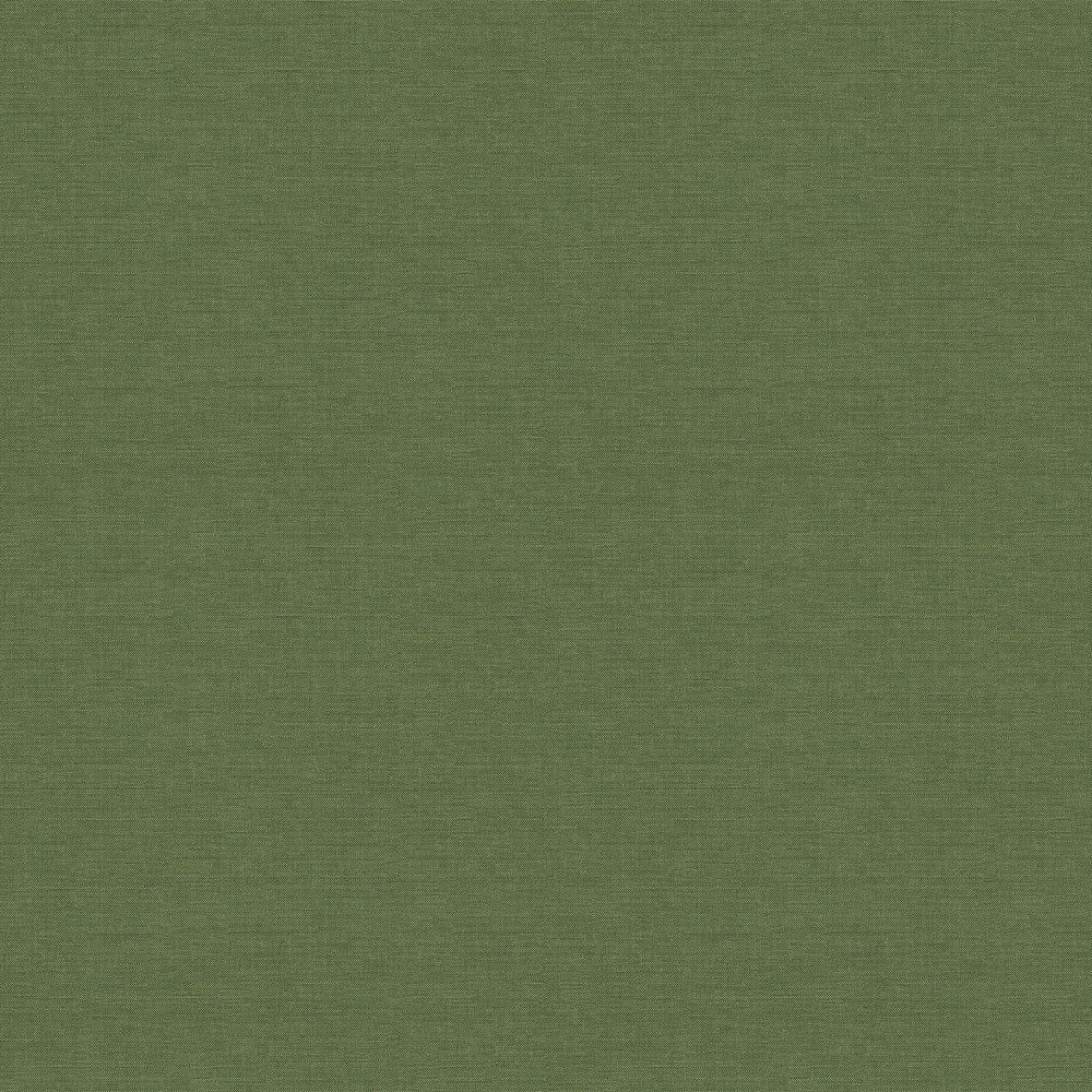 [FOL904] Lux Oasis (FOL904)