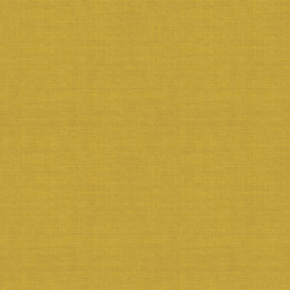 [FOL905] Lux Acacia (FOL905)