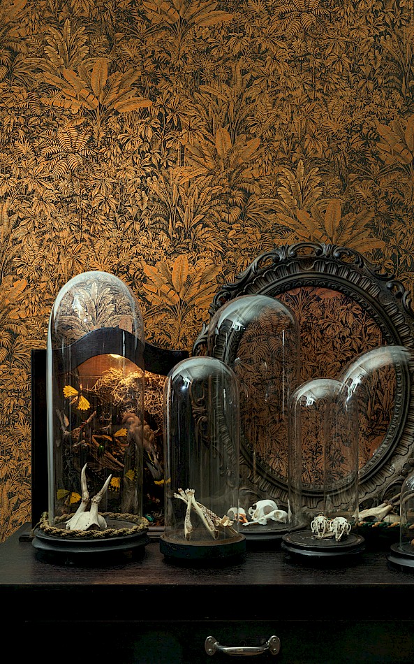 [CAB303] Designs - CAB303