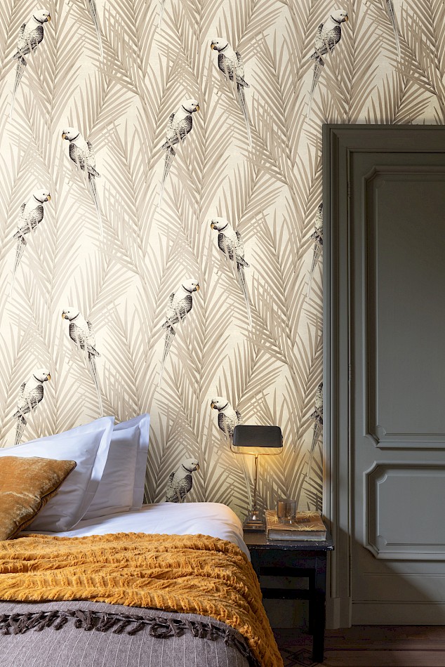 Cabinet of Curiosities - CAB701