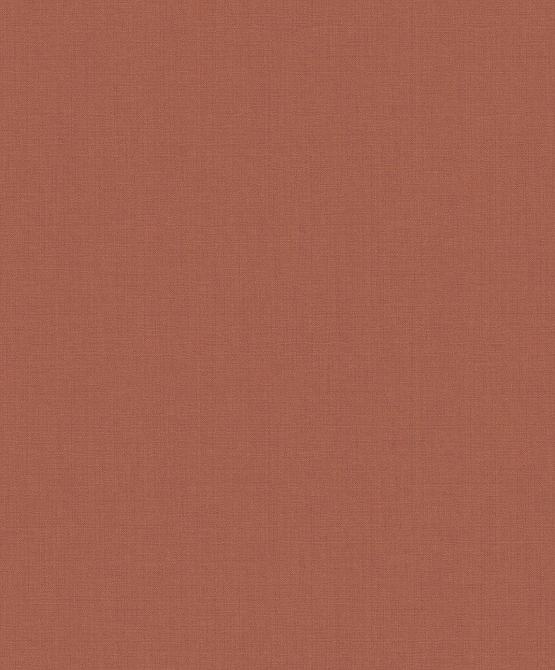 [AGA702] Summer - AGA702