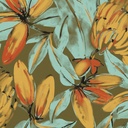 Constanza Paradise (HAV101)