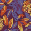 Constanza Radiance (HAV104)