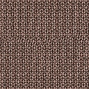 Ada Cameo (HAV501)