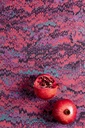 Plains - HAV802