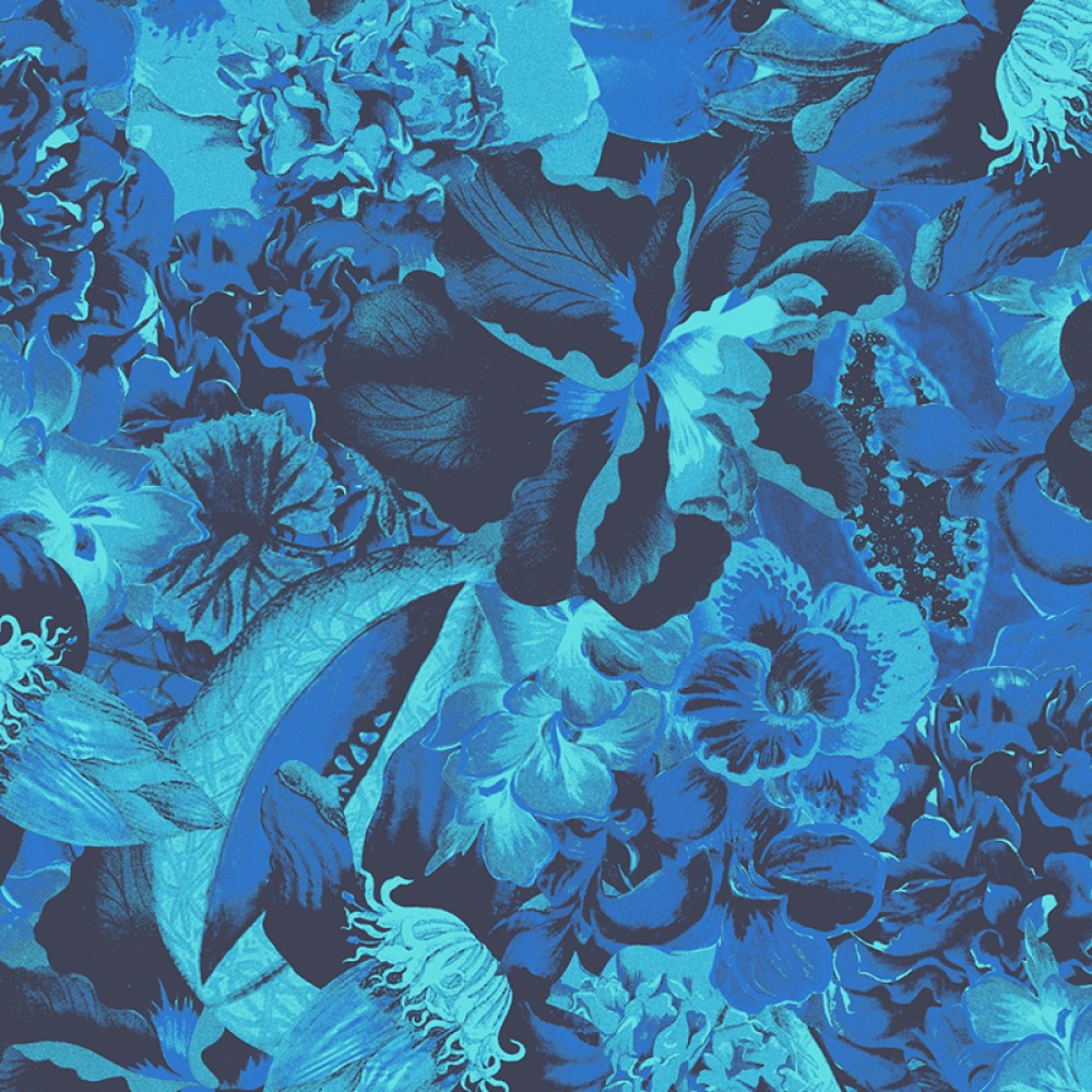 [HAV902] Frida Amparo (HAV902)