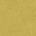 Ramon Olive (HAV1003)