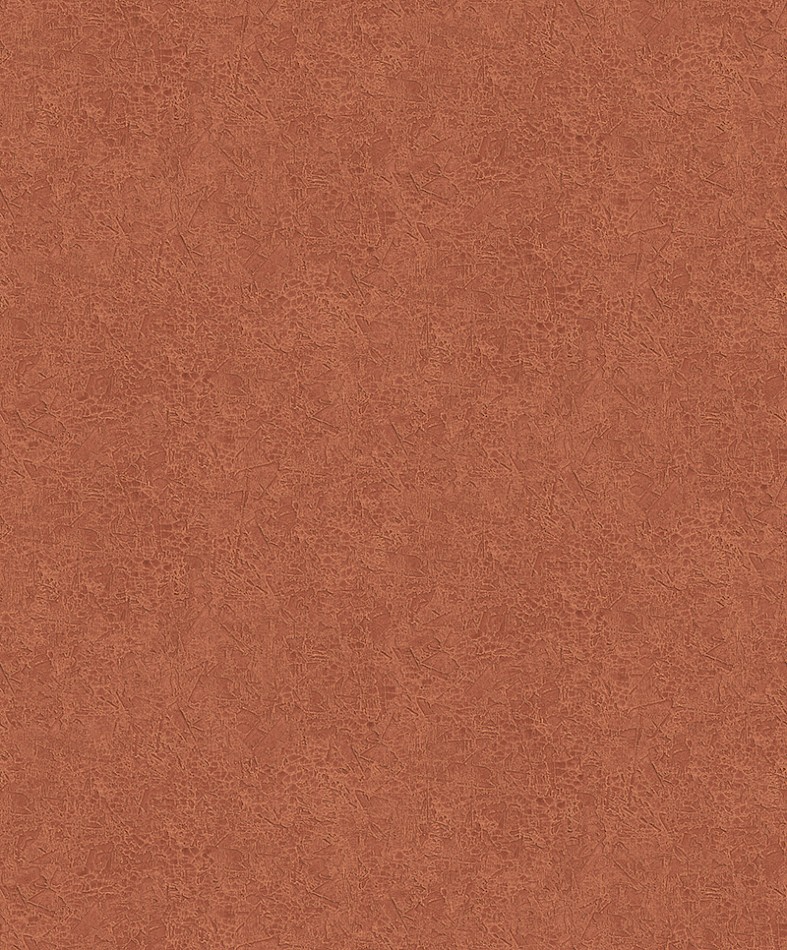 [HAV1004] The Colour Book - HAV1004