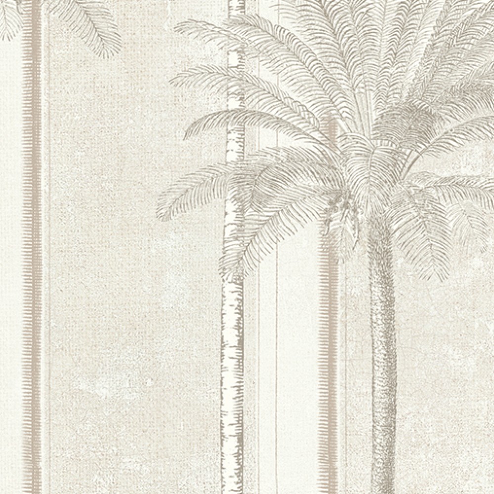Panoramics - DGHAV1011
