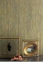 Projets III - CAB005