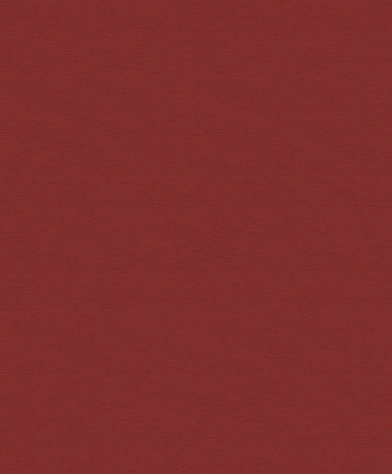 [OLI701] Zen - OLI701