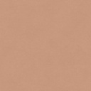 Rythm Camel (RYT005)