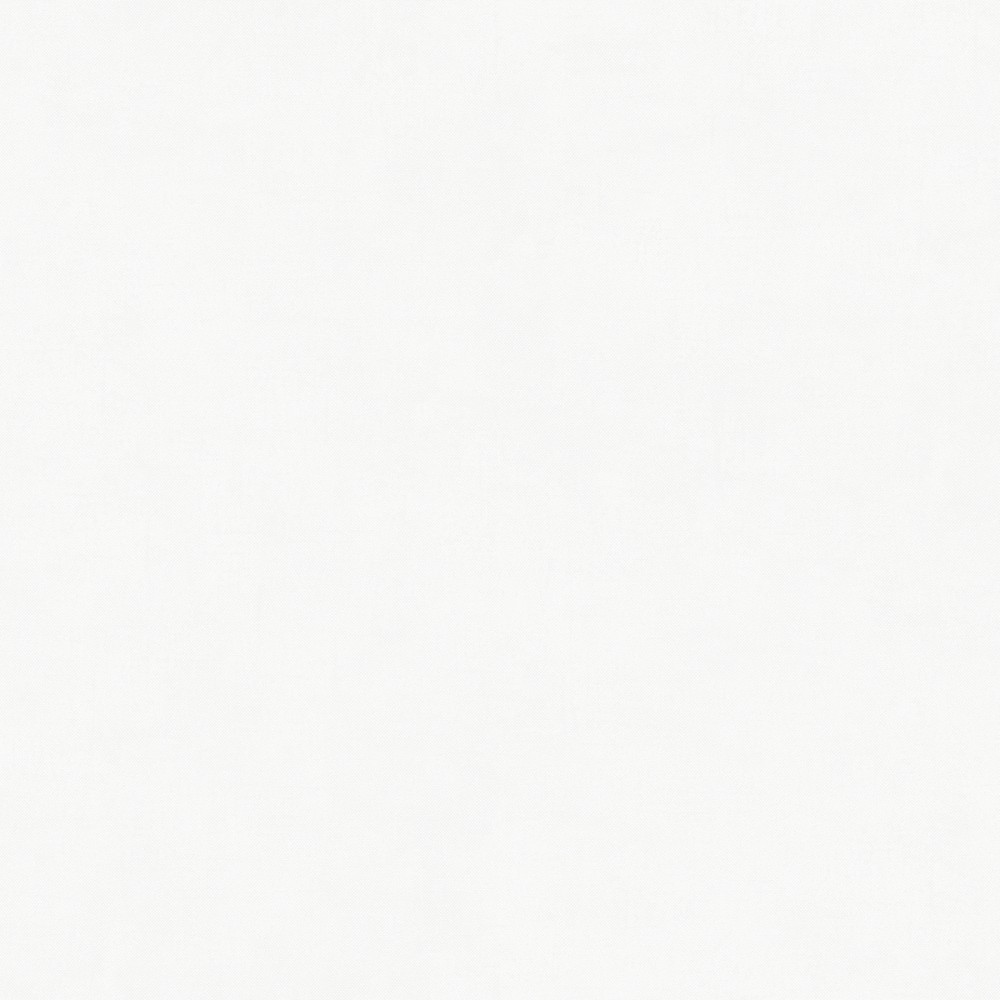 [PRO306] Sunny White (PRO306)