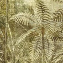 Panoramics - DGCAB1021