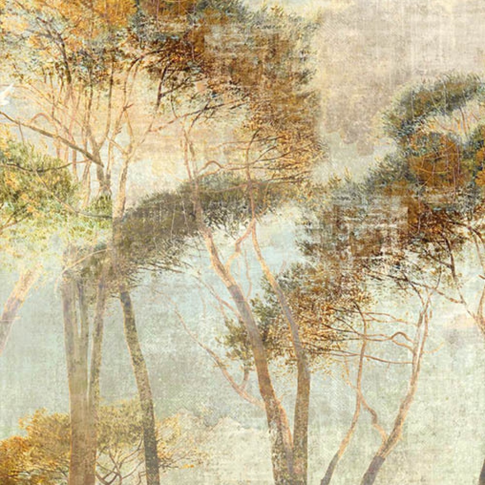 [DG2HYM1021] Panoramics - DG2HYM1021