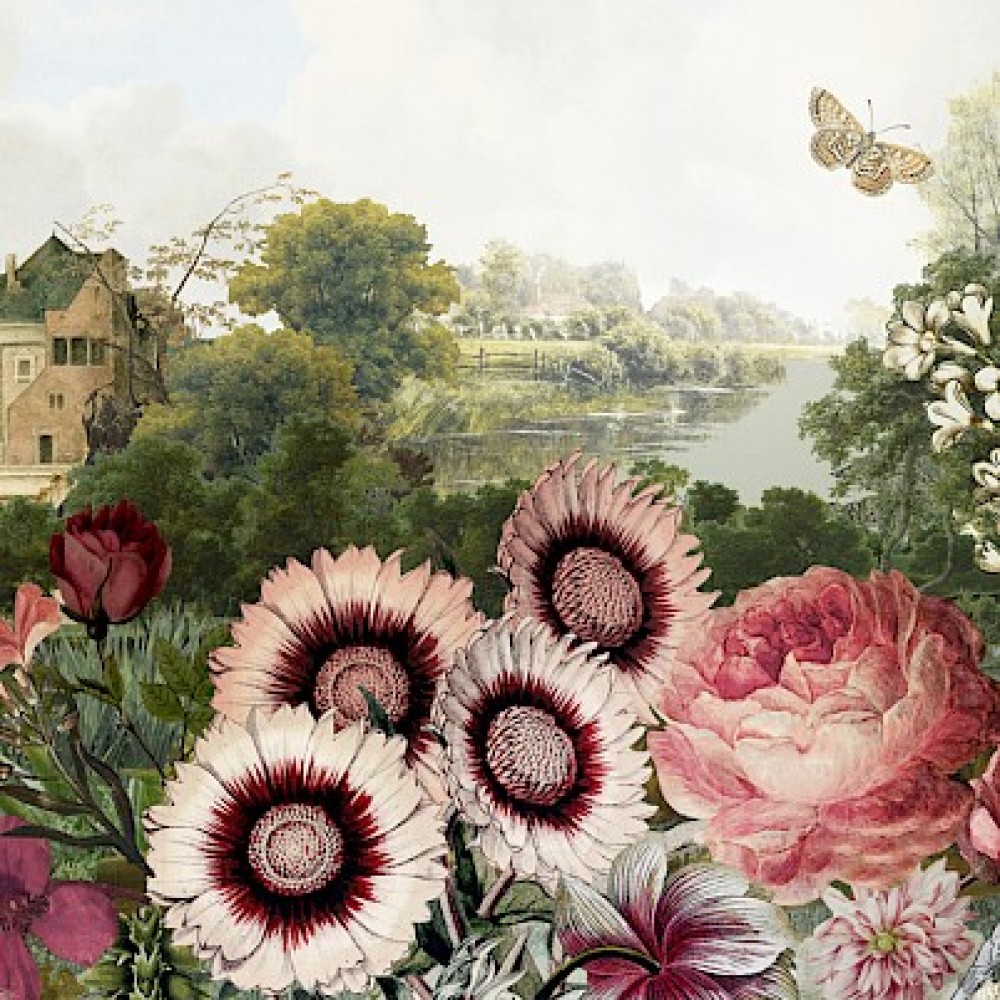 Panoramics - DGKEN2011