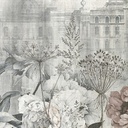 Panoramics - DGKEN3011
