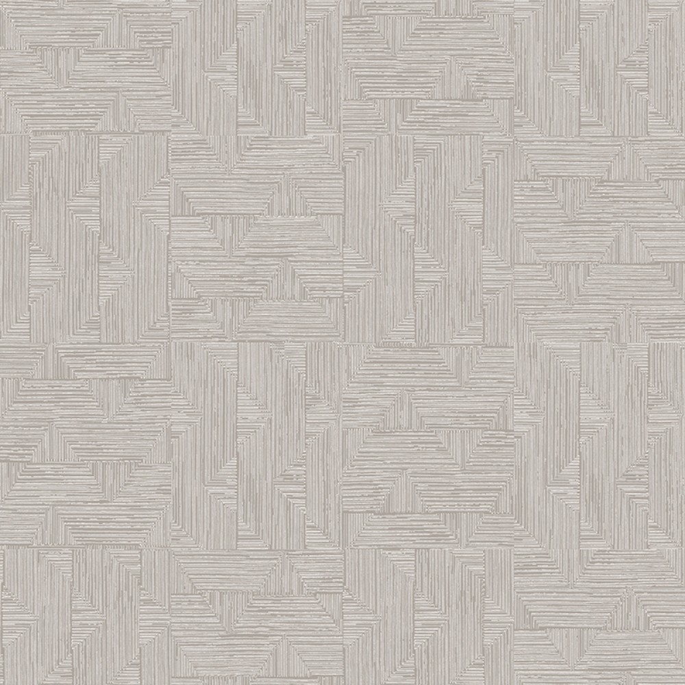 [SPI404] Asterion Angora (SPI404)