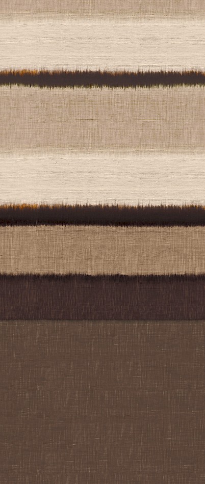 Panoramics - DG3STR101