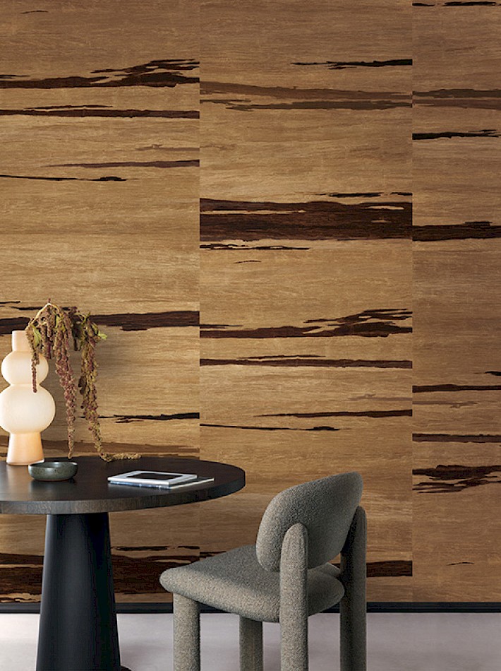 Projects III - DG4COR1013 -300