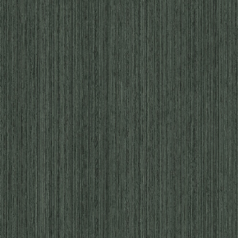 [FER503] Ellis Mountain (FER503)