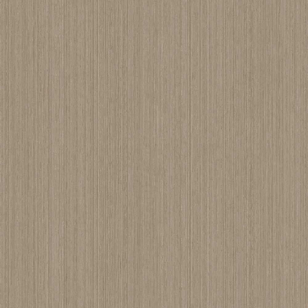 [FER505] Ellis Oyster (FER505)
