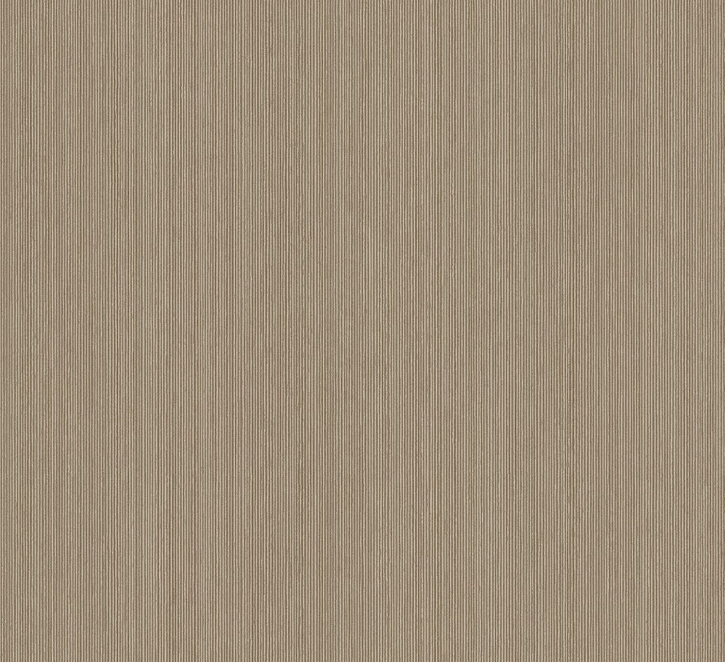 [FER505] Intact - FER505