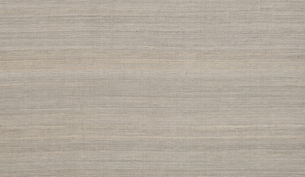 Projets III - BLONE803