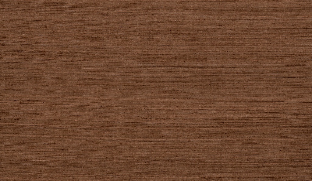 Projets III - BLONE807