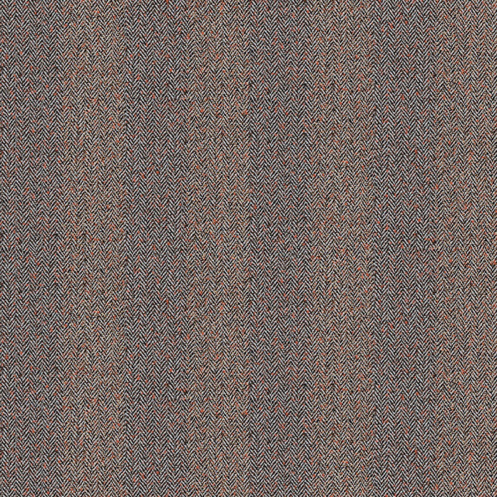 [ILA607] Hugo Cinnamon (ILA607)