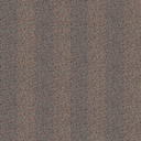 Hugo Cinnamon (ILA607)