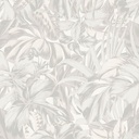 Bonita Oyster (ZEN101)