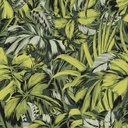 Bonita Forest (ZEN102)