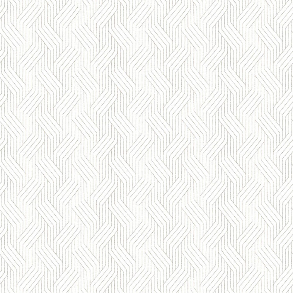 [ZEN401] Everly Oyster (ZEN401)
