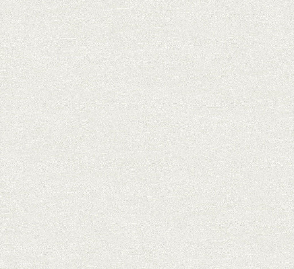 Projects III - TER001