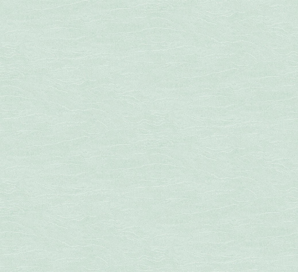 Projects III - TER002