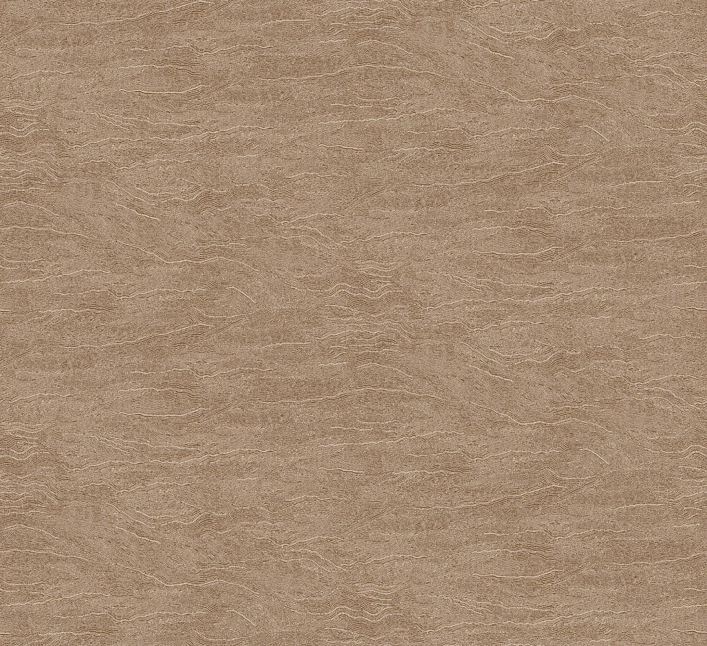 Projects III - TER007