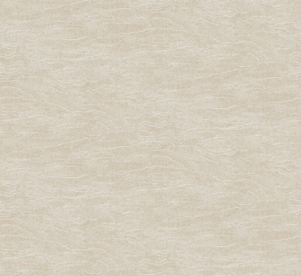 Projects III - TER008