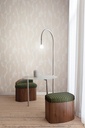 Projects III - TER301